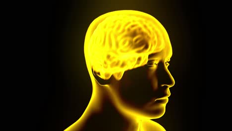 Gehirnhologramm-Rotierende-Funken-Blitze-Elektrizität-Kopfschmerzen-Neuronenschleife-4k
